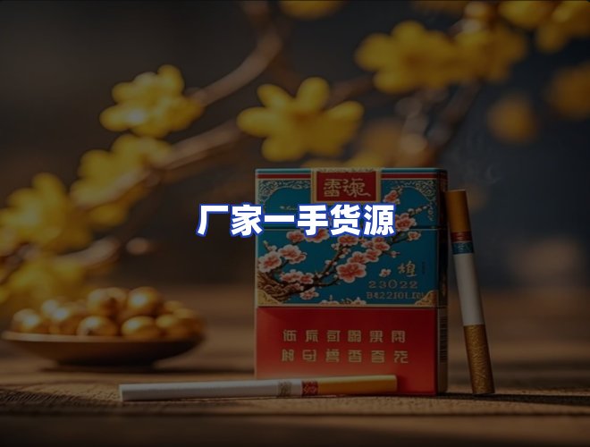 专业团队